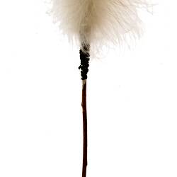 Ornament, unidentified, Australia, Kimberley