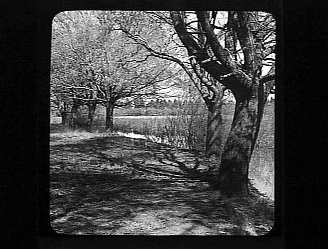 Lantern Slide