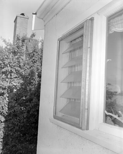 Cyclone Series' Window, Melbourne, Victoria, Oct 1958