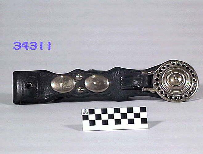 Harness Strap With Brasses