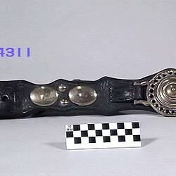 Harness Strap With Brasses