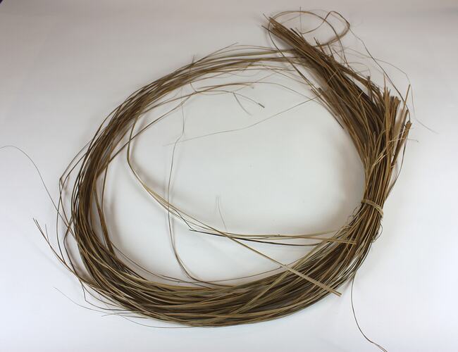 'Stramma' - Reeds for Basket Weaving, Giovanni D'Aprano, Pascoe Vale South, circa 2005