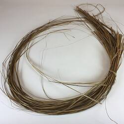 'Stramma' - Reeds for Basket Weaving, Giovanni D'Aprano, Nudgee, Victoria, 2000s