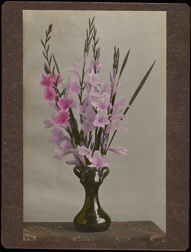 Still life of pink flowers in vase.