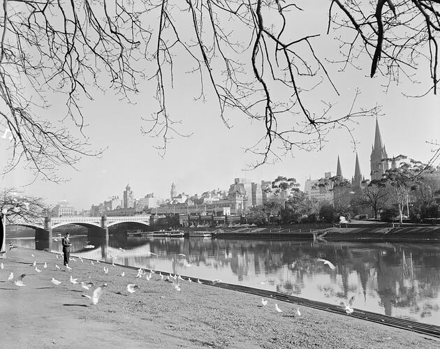 View of Melbourne from Riverside, Victoria, 08 Jul 1959
