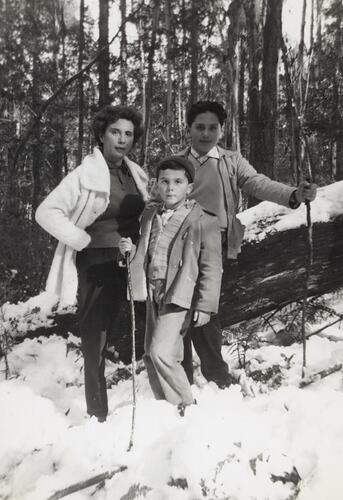 Woman with two boys standing in snowy forest.