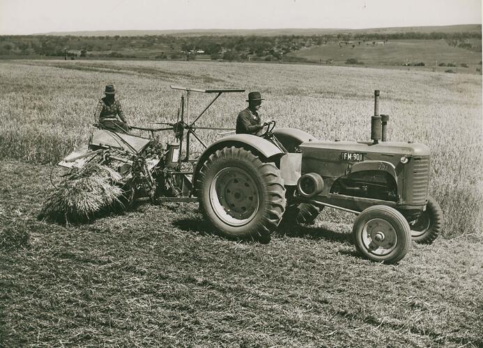 Man driving a tractor coupled with a PTO Reaper Binder with man operating it.