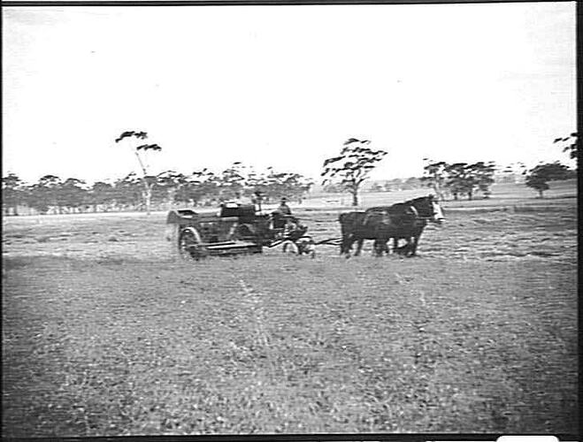 ENGINE-FUNCTIONED HEADER IN A 43 BUSHELL CROP OF PEAS ON MR. TALLENT'S FARM, DEAN: FEB 1930