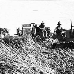 Photograph - H.V. McKay Massey Harris, Sunlight Header Harvester Drawn by a Crawler Tractor, Berrigan, New South Wales, Dec 1932