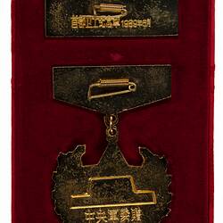 Back view of gold medal and bar stored in red velvet case.