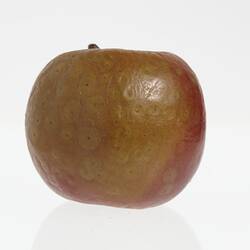 Wax apple model painted red. Has brown stem. Surface is wrinkled and has brown discolouration.
