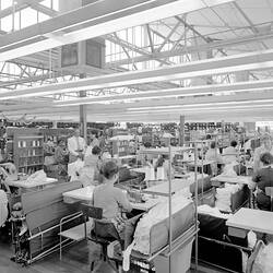 Negative - Female Process Employees in Hosiery Factory, Brunswick, 1970