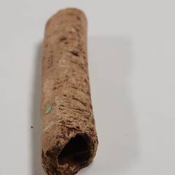 Brown, cylindrical fossil bone fragment.
