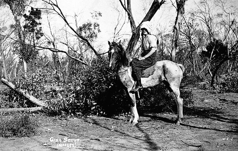 GIRL SCOUT (MALLEE)