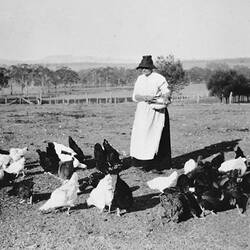 Negative - Woman Feeding Chickens, Victoria, circa 1935