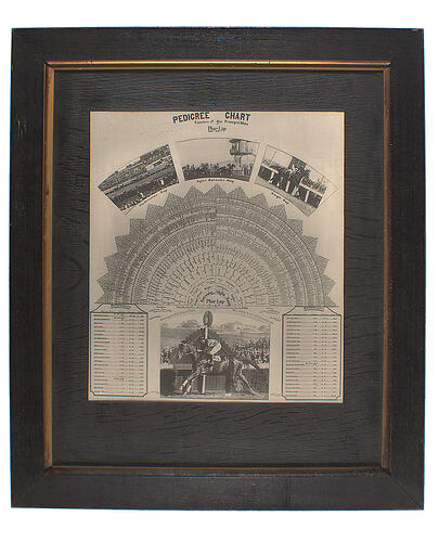 Framed Photograph - Phar Lap Pedigree Chart