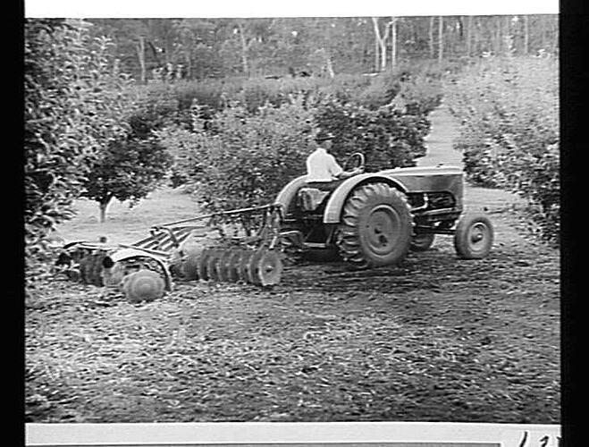 MODEL 102 TRACTOR PULLING A `SUNPLIANT' TANDEM DISC HARROW ON THE PROPERTY OF MR. W. TEMBY, PICKERING BROOK: MAY 1943