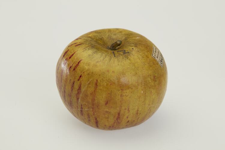 Wax apple model. Red yellow with red streaks.