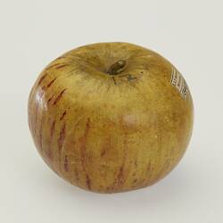 Wax apple model. Red yellow with red streaks.