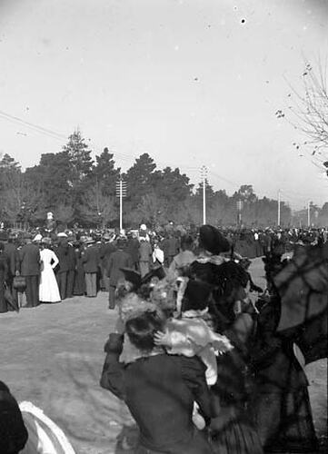 Stereograph - Glass, New Zealand Troops, Federation Celebrations, 1901