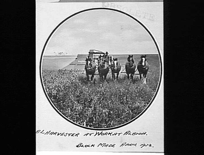 A.L. HARVESTER AT WORK AT ALBION: BLOCK MADE APRIL 1934