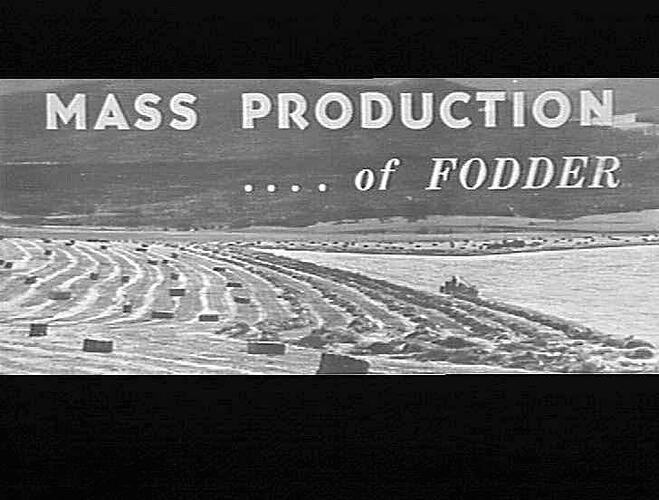 Photograph - H. V. McKay factory and/or equipment