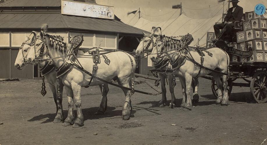 Digital Photograph - Draught Horses in Show Harness for O T Limited, soft drink manufacturer, at the Royal Melbourne Show, Ascot Vale, circa 1910