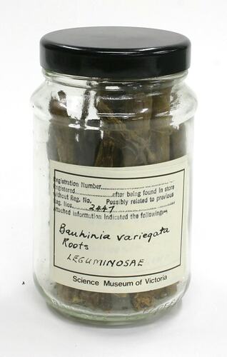 Sample of plant roots in labelled jar.