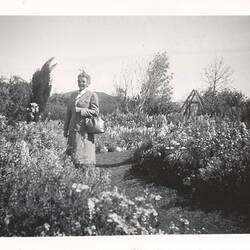 Photograph - Dorothy Howard in Garden, Dorothy Howard Tour, Toowoomba, Queensland, 3 Oct 1954