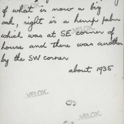 Photograph - Manna Gum, Grounds of Melbourne Observatory House, The Domain, South Yarra, Victoria, circa 1935