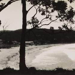 Photograph - Coastal Landscape, Lorne, Victoria, circa 1920s