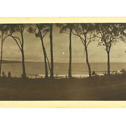 Photograph - Great Ocean Road, Lorne, Victoria, circa 1920