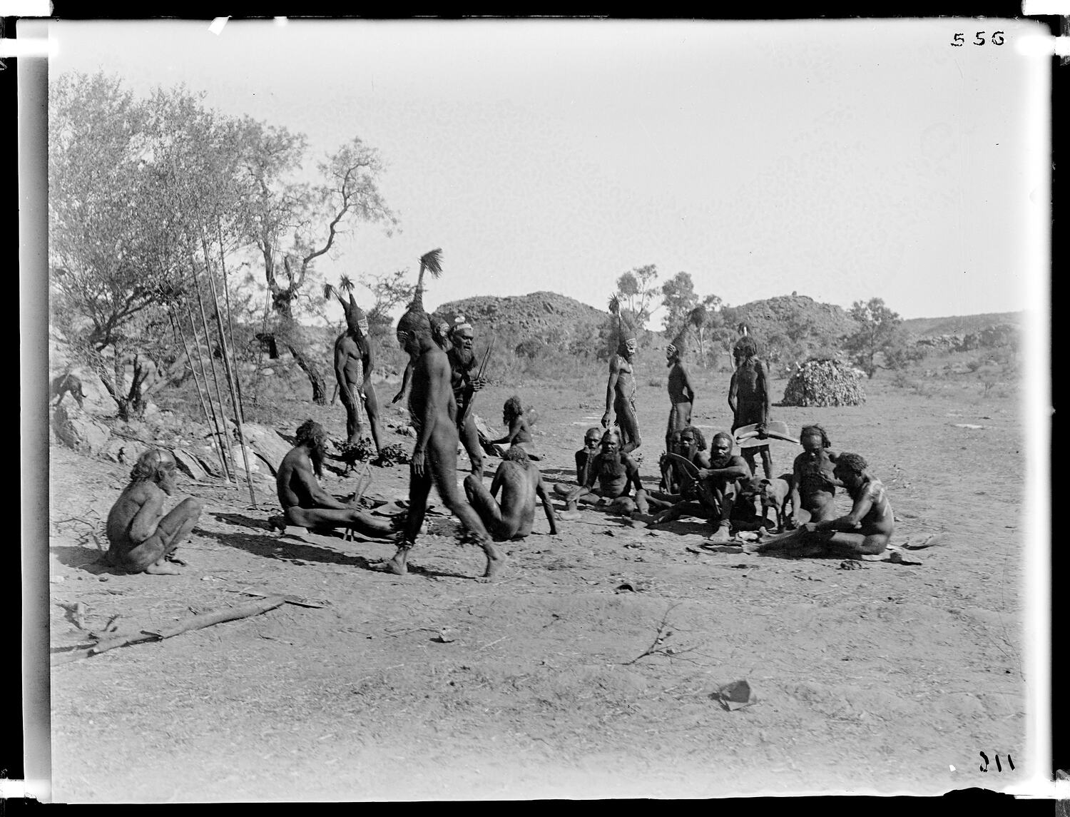 Tjitjingalla ceremony | Glass plate. Arrernte. Alice Springs, Central ...