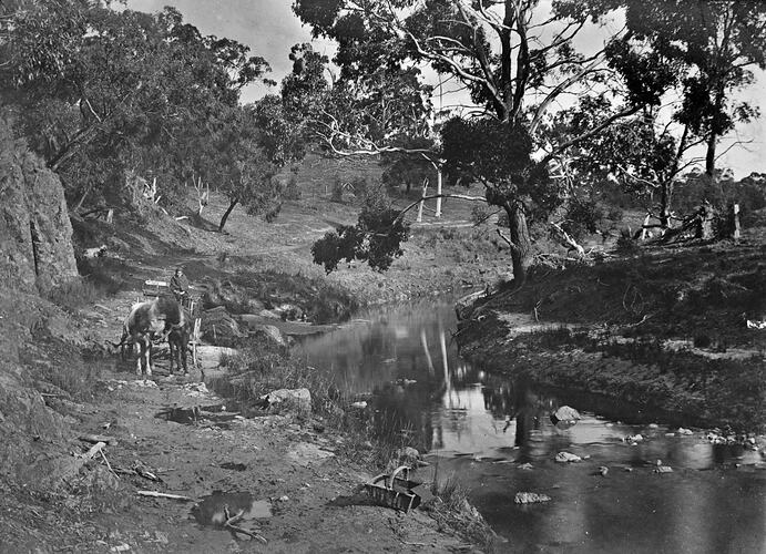 Horsedrawn vehicle making its way along a track beside a small river.
