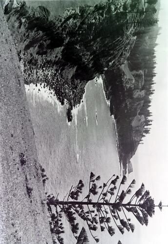 Negative - Coastal Landscape, Fiji, circa 1920s