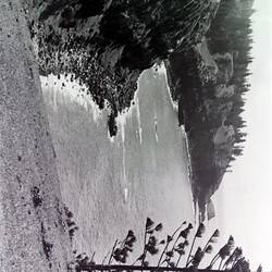 Negative - Coastal Landscape, Norfolk Island, circa 1930s
