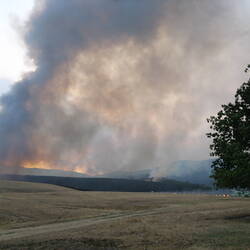 Digital Photograph - Pine Plantation on Fire, Black Saturday Bushfires, Rosewhite, Victoria, 8 Feb 2009