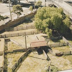 Digital Photograph - Aerial View of Cattle Pens, Newmarket Saleyards, 1 Apr 1985
