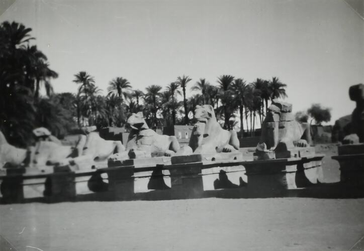 Photograph - 'Entrance to Karnak', Luxor, Egypt, World War II, 1939-1943
