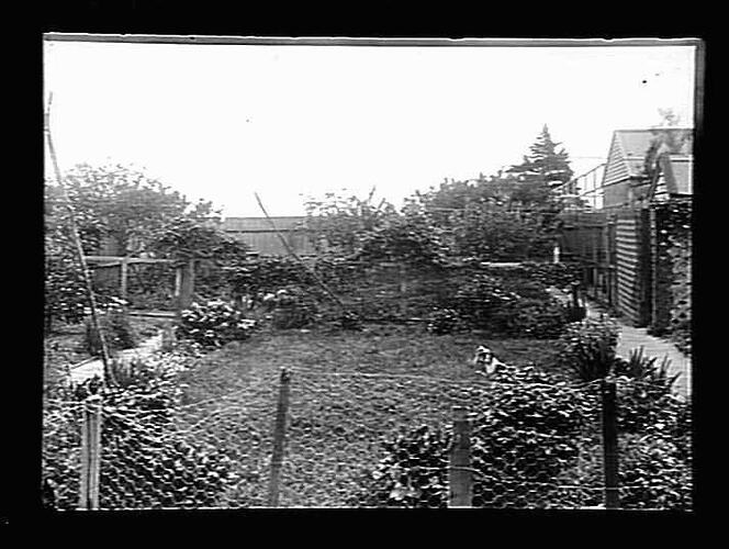 Backyard garden with fence and buildings.