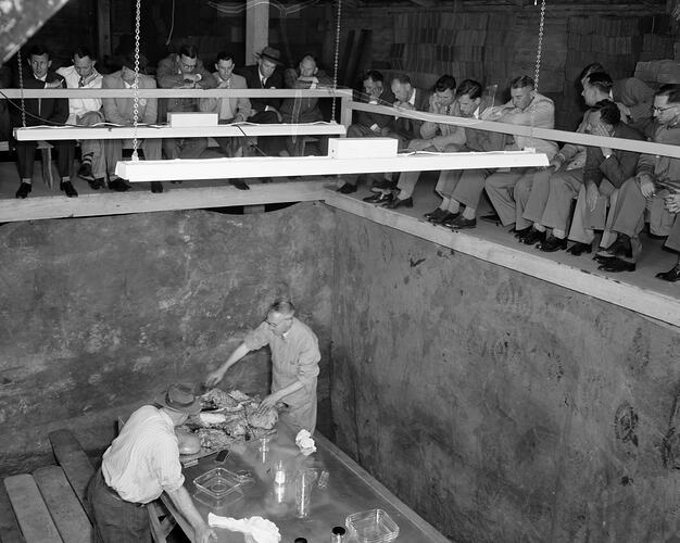 Commonwealth Fertilizers & Chemicals Ltd, Men Preparing Meat, Yarraville, Victoria, Sep 1955