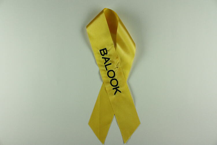 Yellow ribbon with black text 'Balook'.
