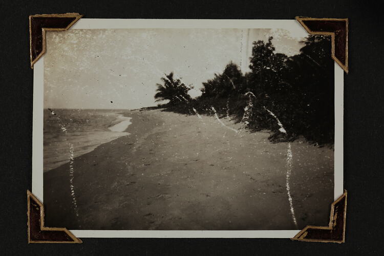 Beach with water on left side, sand in centre and trees on right side.