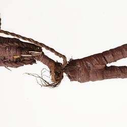 Plaited belt, Western Arnhem Land, Australia, c. 1931