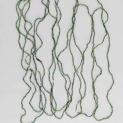 Ornament, neck, Papua New Guinea