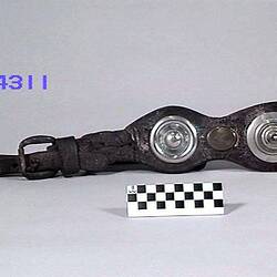 Harness Strap With Brasses