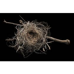 Bird nest on narrow branch against black background.