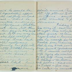 Open book, 2 cream pages dated Friday 21st. Cursive handwritten text in blue ink. Page 116 and 117.