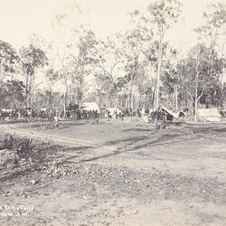 Photograph - Amalgamated Workers Association Strike Camp, Cordalba, Queensland, 1911