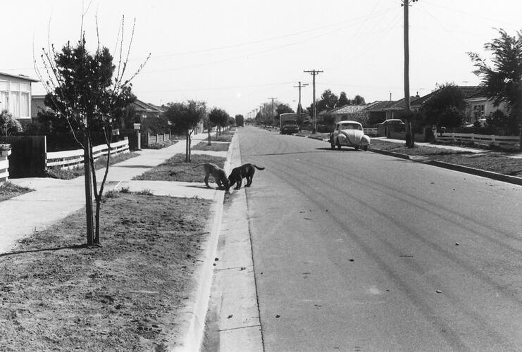 Street View, Cyprus Street, Lalor, 1971